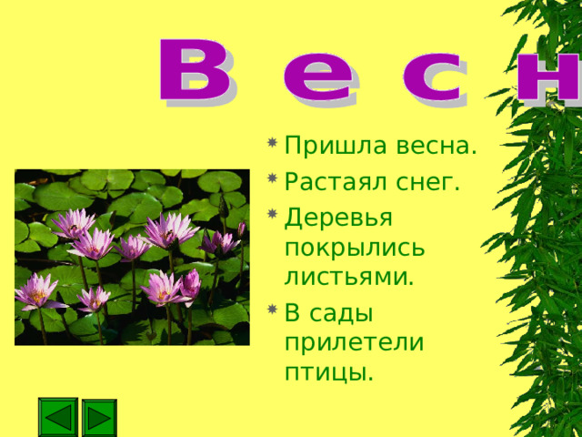 Пришла весна. Растаял снег. Деревья покрылись листьями. В сады прилетели птицы. 