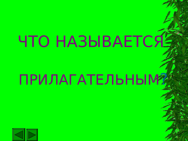 ЧТО НАЗЫВАЕТСЯ    ПРИЛАГАТЕЛЬНЫМ ? 