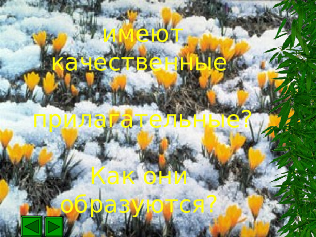 Какие степени сравнения   имеют качественные   прилагательные?   Как они образуются? 