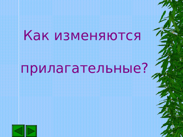  Как изменяются   прилагательные?   