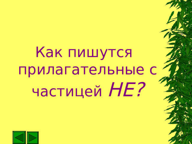 Как пишутся прилагательные с частицей НЕ? 