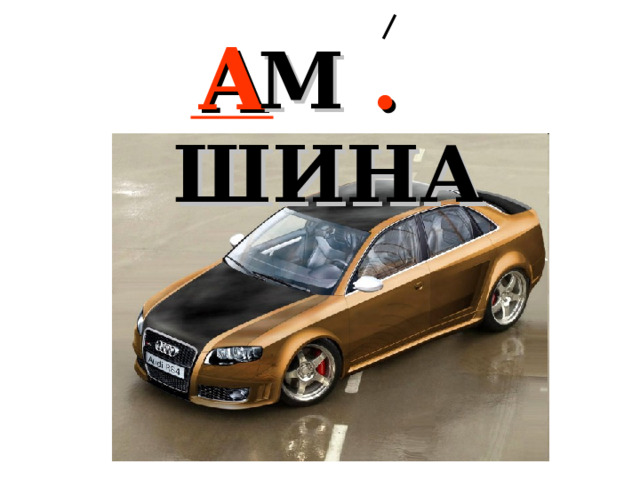 М . ШИНА  А 