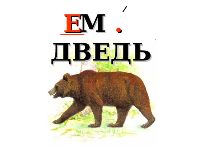 М . ДВЕДЬ Е 
