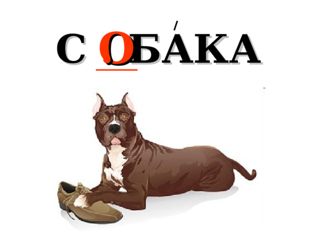 С . БАКА О 