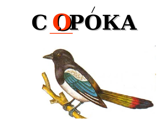 С . РОКА О 