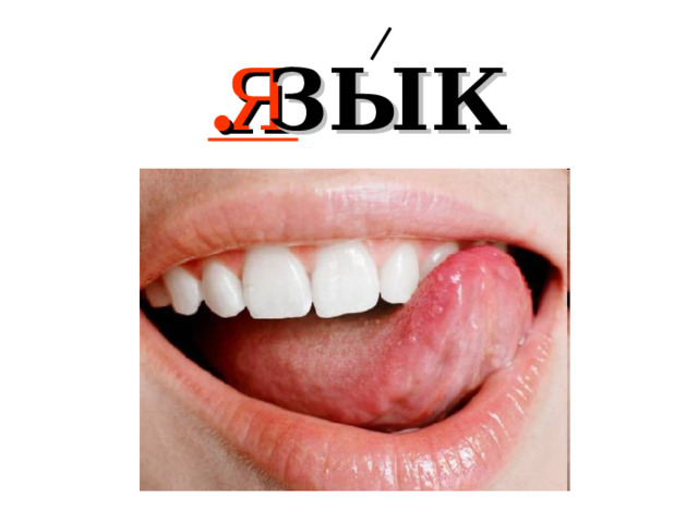 Я . ЗЫК 