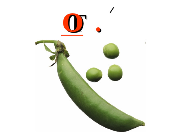 Г . РОХ О 