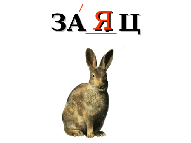 Я ЗА . Ц 