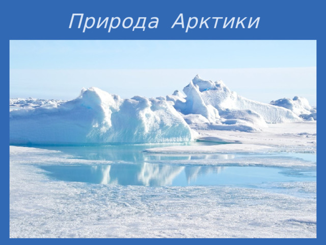 Природа Арктики В Арктике произрастают карликовые кустарники, злаки, травы, лишайники и мхи. Низкие летние температуры обусловливают малое разнообразие видов и небольшие размеры растений. В Арктике нет деревьев, однако в тёплой её части нередко встречаются кустарники, достигающие двух метров в высоту, а осока, мхи и лишайники образуют толстую подстилку. Арктическая пустыня — самая северная из природных зон — практически лишена растительности; преобладают клеточные растения — мхи и лишайники, изредка встречаются такие травянистые растения, как полярный мак.  