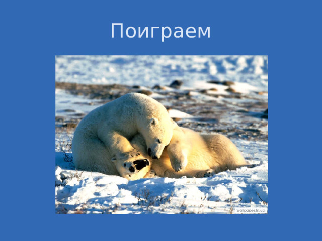 Поиграем 