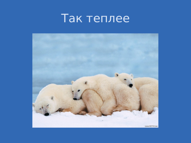 Так теплее 