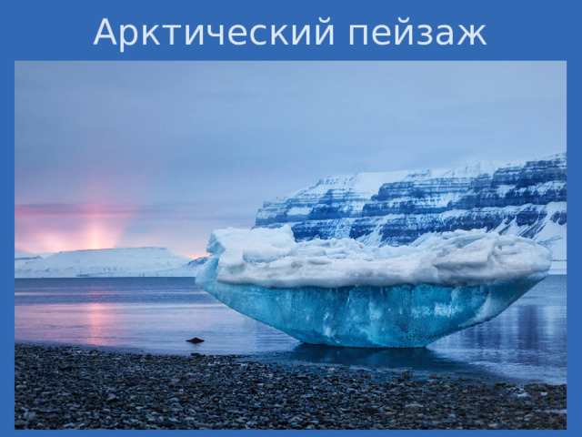 Арктический пейзаж Арктика — место обитания целого ряда уникальных животных: овцебык, дикий северный олень, снежный баран, белый медведь. К травоядным обитателям тундры относятся: заяц — арктический беляк, лемминг, овцебык и дикий северный олень. Они являются пищей для песца и волка. Полярный медведь также является хищником, он предпочитает охотиться на морских животных со льда. Для холодных регионов эндемичны многие виды птиц и морских обитателей. Кроме того, в Арктике обитают росомахи, горностаи и длиннохвостые суслики.  