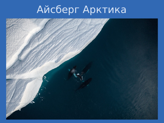Айсберг Арктика 