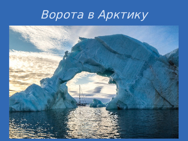 Ворота в Арктику Полярным летом в тундре гнездятся миллионы перелётных птиц. В морях Арктики обитают тюлени, моржи, а также несколько видов китообразных: усатые киты, нарвалы, косатки и белухи.  