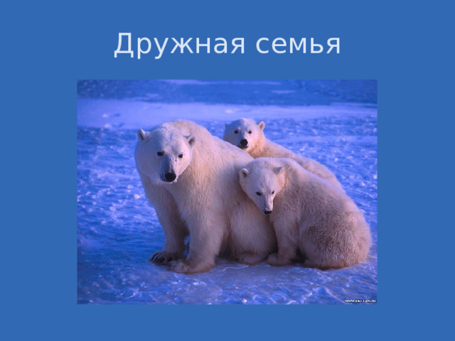 Дружная семья 