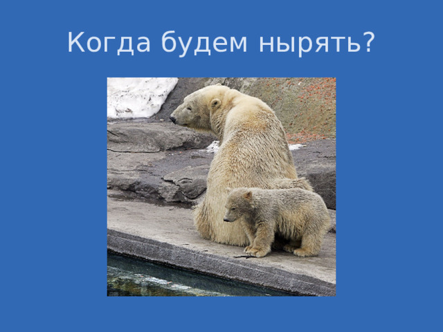 Когда будем нырять? 