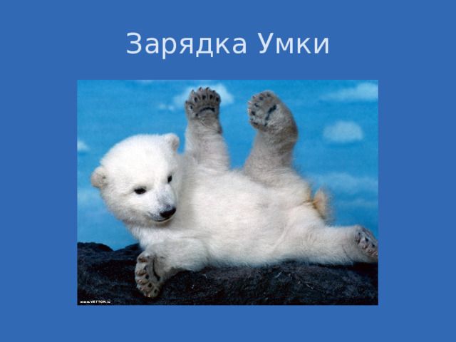 Зарядка Умки 