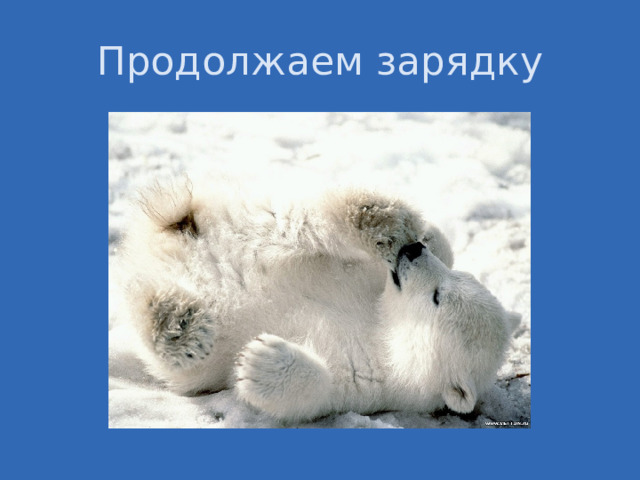Продолжаем зарядку 