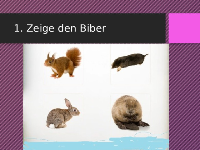 1. Zeige den Biber 