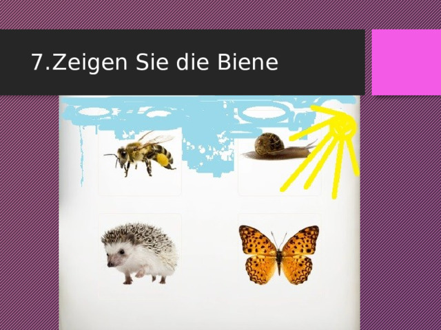 7.  Zeigen Sie die Biene 