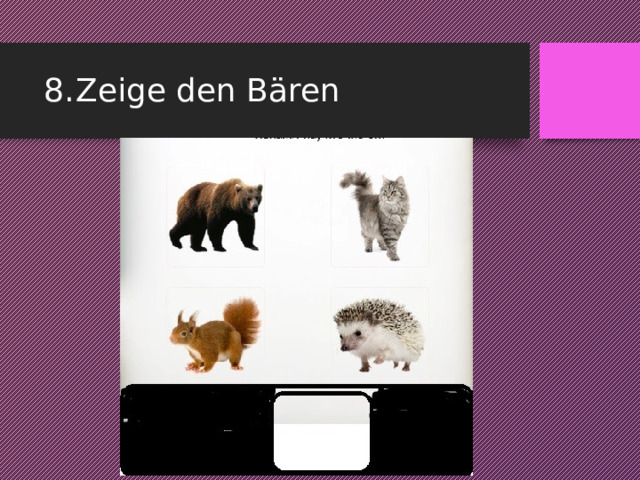 8.  Zeige den Bären 