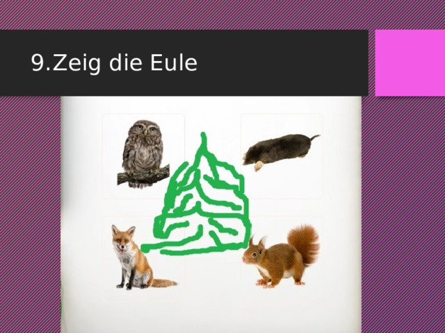 9.  Zeig die Eule 