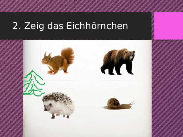 2. Zeig das Eichhörnchen 