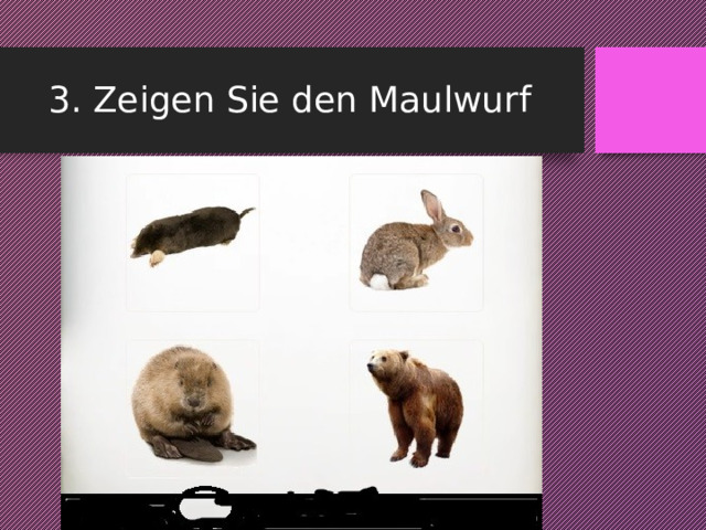 3. Zeigen Sie den Maulwurf 
