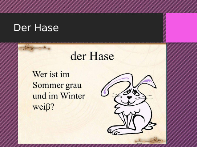 Der Hase 