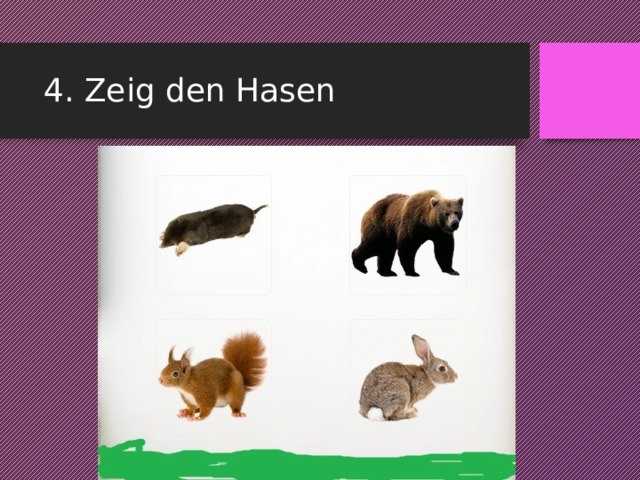 4. Zeig den Hasen 
