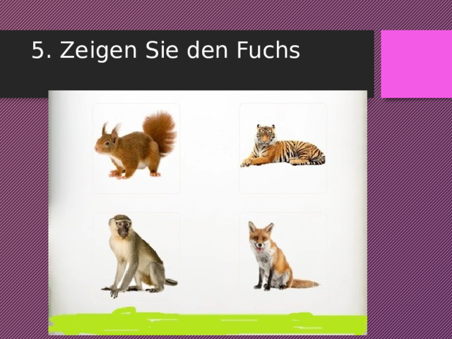 5. Zeigen Sie den Fuchs   