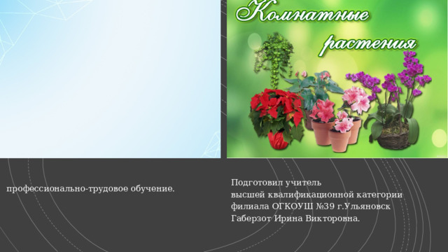 профессионально-трудовое обучение. Подготовил учитель высшей квалификационной категории филиала ОГКОУШ №39 г.Ульяновск Габерзот Ирина Викторовна. 