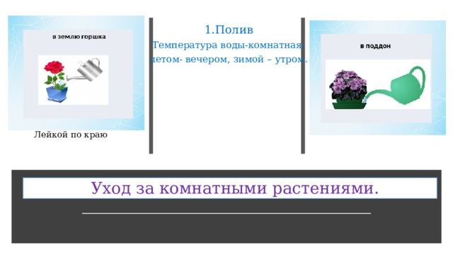 1.Полив Температура воды-комнатная, летом- вечером, зимой – утром. Лейкой по краю  Уход за комнатными растениями. 