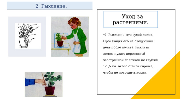  2. Рыхление .  Уход за растениями. 2. Рыхление- это сухой полив. Производят его на следующий день после полива. Рыхлить землю нужно деревянной заострённой палочкой не глубже 1-1,5 см. около стенок горшка, чтобы не повредить корни. 