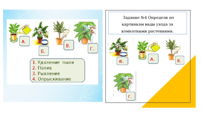  Задание №4 Определи по картинкам виды ухода за комнатными растениями. 