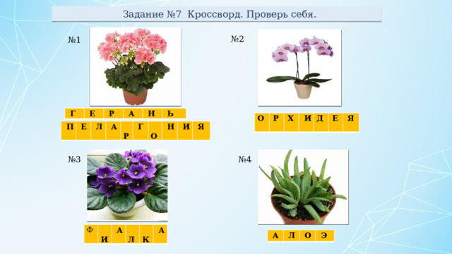  Задание №7 Кроссворд. Проверь себя. № 2 № 1   Г   Е   Р   А   Н   Ь О  Р  Х  И  Д  Е  Я    П   Е   Л   А   Р   Г   О   Н   И   Я № 3 № 4 Ф   И   А   Л   К   А   А   Л   О   Э 