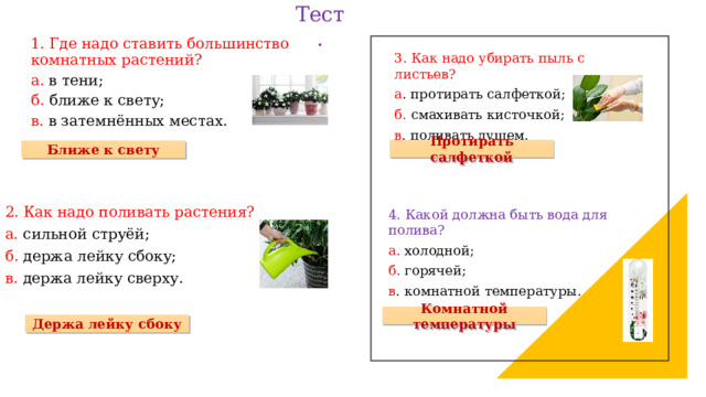 Тест. 1. Где надо ставить большинство комнатных растений? а. в тени; б. ближе к свету; в. в затемнённых местах. 3. Как надо убирать пыль с листьев? а . протирать салфеткой; б. смахивать кисточкой; в . поливать душем. Протирать салфеткой Ближе к свету 2. Как надо поливать растения? а. сильной струёй; б. держа лейку сбоку; в. держа лейку сверху. 4. Какой должна быть вода для полива? а. холодной; б. горячей; в . комнатной температуры. Комнатной температуры Держа лейку сбоку 