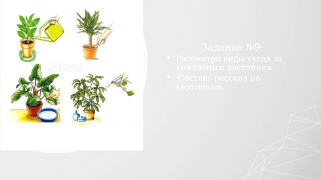 Задание №9: Рассмотри виды ухода за комнатным растением.  Составь рассказ по картинкам. 