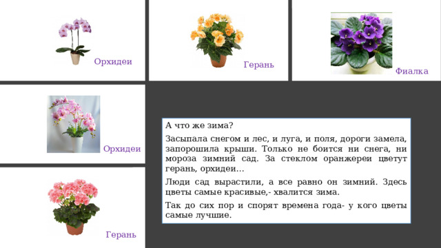 Орхидеи Герань Фиалка А что же зима? Засыпала снегом и лес, и луга, и поля, дороги замела, запорошила крыши. Только не боится ни снега, ни мороза зимний сад. За стеклом оранжереи цветут герань, орхидеи… Люди сад вырастили, а все равно он зимний. Здесь цветы самые красивые,- хвалится зима. Так до сих пор и спорят времена года- у кого цветы самые лучшие. Орхидеи Герань 
