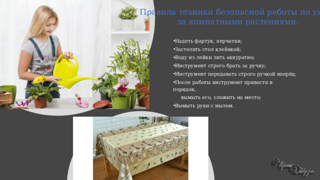 Правила техники безопасной работы по уходу за комнатными растениями. Надеть фартук, перчатки; Застелить стол клеёнкой; Воду из лейки лить аккуратно; Инструмент строго брать за ручку; Инструмент передавать строго ручкой вперёд; После работы инструмент привести в порядок,  вымыть его, сложить на место; Вымыть руки с мылом. 