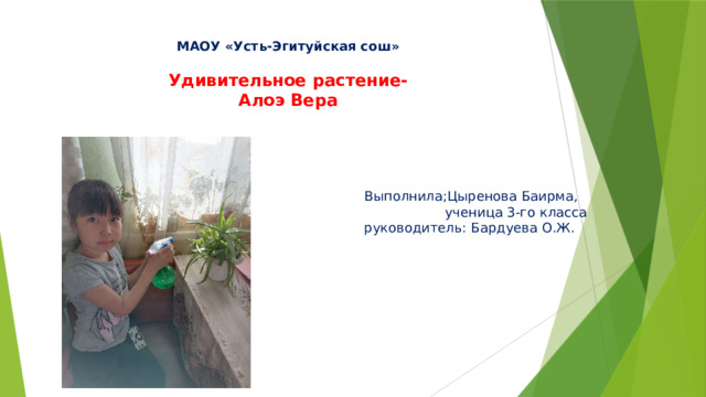МАОУ «Усть-Эгитуйская сош»   Удивительное растение-  Алоэ Вера Выполнила;Цыренова Баирма,  ученица 3-го класса руководитель: Бардуева О.Ж. 