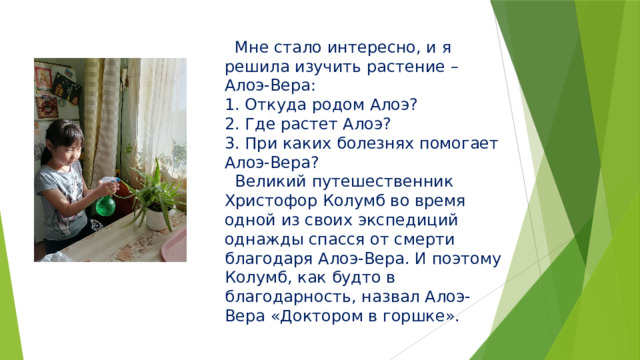  Мне стало интересно, и я решила изучить растение – Алоэ-Вера:  1. Откуда родом Алоэ?  2. Где растет Алоэ?  3. При каких болезнях помогает Алоэ-Вера?  Великий путешественник Христофор Колумб во время одной из своих экспедиций однажды спасся от смерти благодаря Алоэ-Вера. И поэтому Колумб, как будто в благодарность, назвал Алоэ-Вера «Доктором в горшке».   