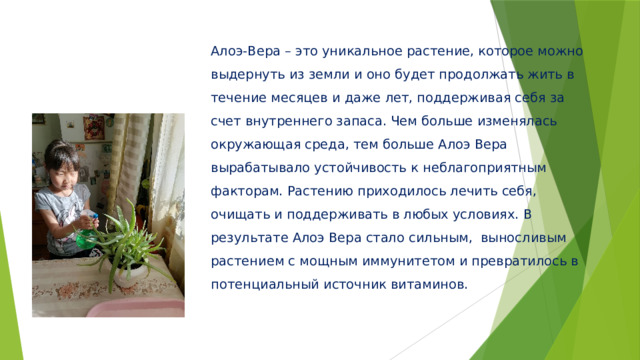 Алоэ-Вера – это уникальное растение, которое можно выдернуть из земли и оно будет продолжать жить в течение месяцев и даже лет, поддерживая себя за счет внутреннего запаса. Чем больше изменялась окружающая среда, тем больше Алоэ Вера вырабатывало устойчивость к неблагоприятным факторам. Растению приходилось лечить себя, очищать и поддерживать в любых условиях. В результате Алоэ Вера стало сильным, выносливым растением с мощным иммунитетом и превратилось в потенциальный источник витаминов.   