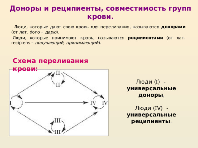 Доноры и реципиенты, совместимость групп крови.   Люди, которые дают свою кровь для переливания, называются донорами (от лат. dono – дарю ). Люди, которые принимают кровь, называются реципиентами (от лат. recipiens – получающий, принимающий ). Схема переливания крови: Люди (  ) - универсальные доноры ,  Люди (  V) - универсальные реципиенты .             