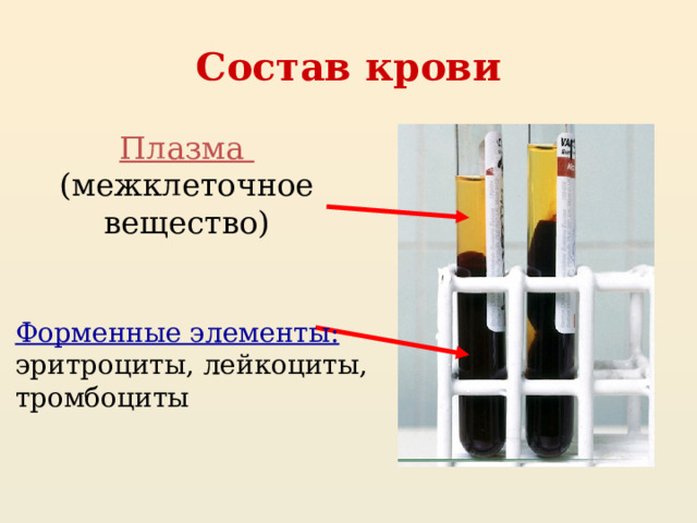Состав крови Плазма (межклеточное вещество) Форменные элементы: эритроциты, лейкоциты, тромбоциты 