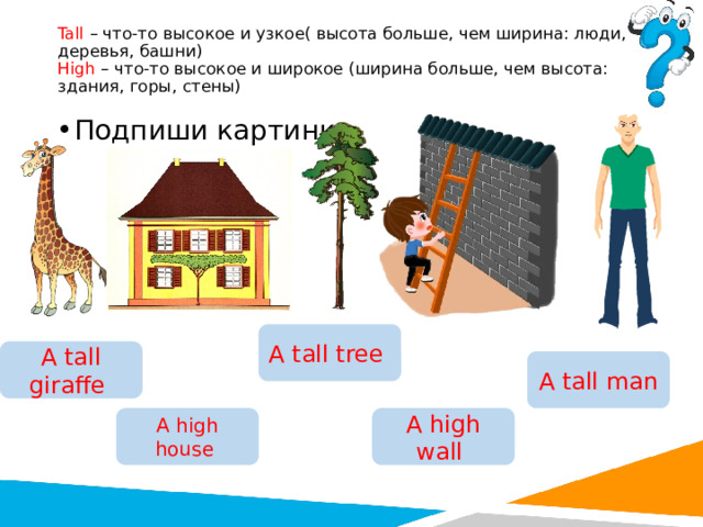 Tall – что-то высокое и узкое( высота больше, чем ширина: люди, деревья, башни)  High – что-то высокое и широкое (ширина больше, чем высота: здания, горы, стены)   Подпиши картинки. A tall tree A tall giraffe A tall man A high house A high wall 