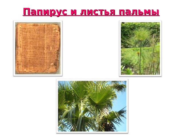 Папирус и листья пальмы 