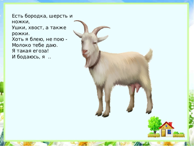 Есть бородка, шерсть и ножки,  Ушки, хвост, а также рожки.  Хоть я блею, не пою -  Молоко тебе даю.  Я такая егоза!  И бодаюсь, я  .. 