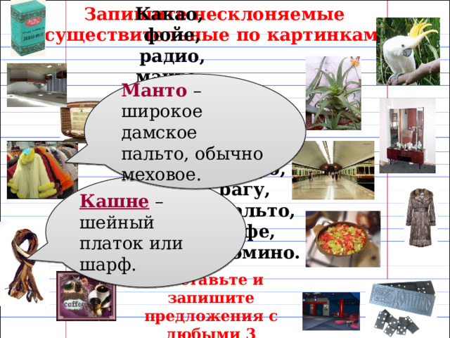 Запишите несклоняемые существительные по картинкам. Какао, фойе,  радио, манто, пианино, кашне, кофе, Манто  – широкое дамское пальто, обычно меховое. какаду, алоэ, трюмо, метро, рагу, пальто, кафе, домино. Кашне – шейный платок или шарф. Составьте и запишите предложения с любыми 3 словами 