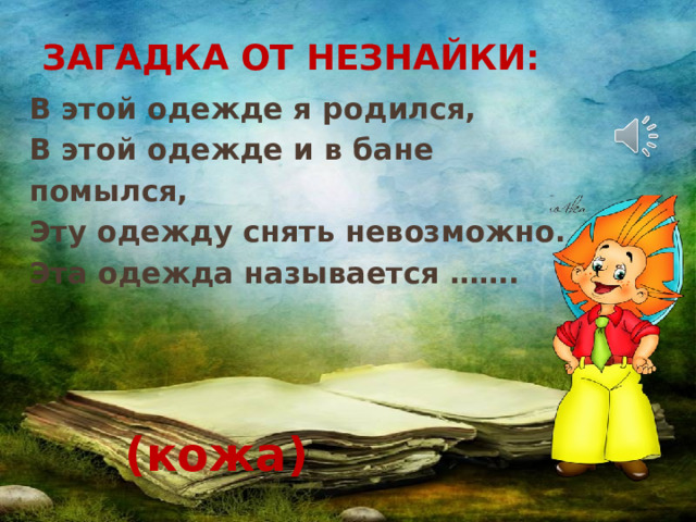 ЗАГАДКА ОТ НЕЗНАЙКИ: В этой одежде я родился, В этой одежде и в бане помылся, Эту одежду снять невозможно. Эта одежда называется …….  (кожа) 